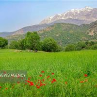 اتحادیه ملی منابع طبیعی احیا شود