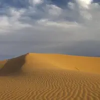 ۱۱ پناهنده سودانی در صحرای لیبی بر اثر کم‌آبی جان باختند