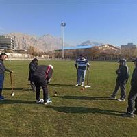 خراسان جنوبی میزبان مسابقات آزاد کروکت شرق کشور