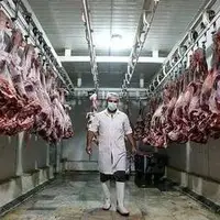 احتمال افزایش مجدد قیمت گوشت قرمز با حذف ارز ترجیحی!