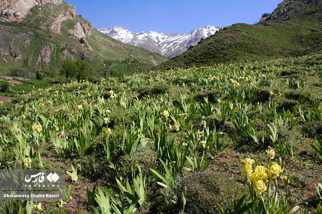 طبیعتِ زیبای اِشکوَرات