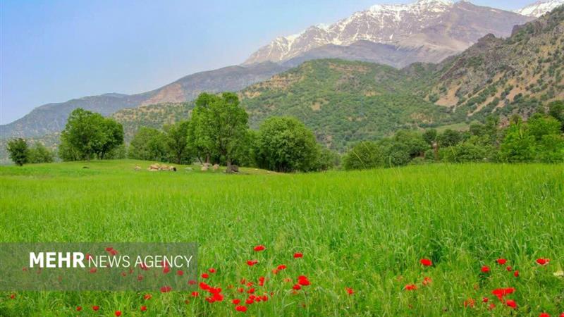 اتحادیه ملی منابع طبیعی احیا شود