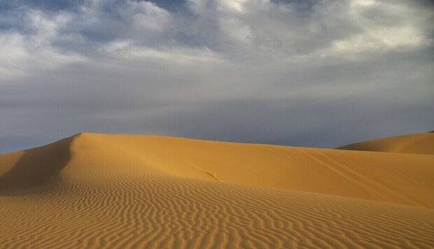 ۱۱ پناهنده سودانی در صحرای لیبی بر اثر کمآبی جان باختند
