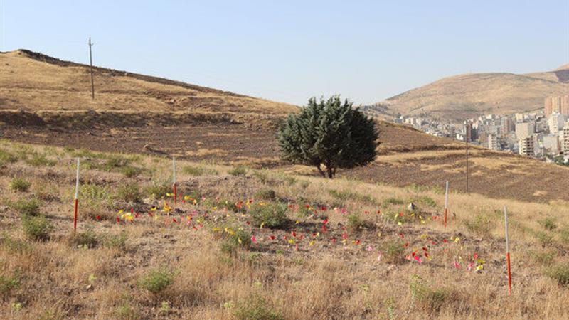محوطه «سنگ معدن» کرمانشاه قدمتی در حدود ۱ میلیون سال دارد