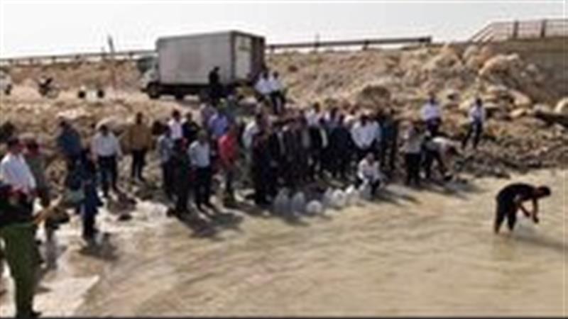 رهاسازی ۱۳۰ هزار بچه ماهی در سواحل نایبند عسلویه با هدف احیای ذخایر خلیج فارس