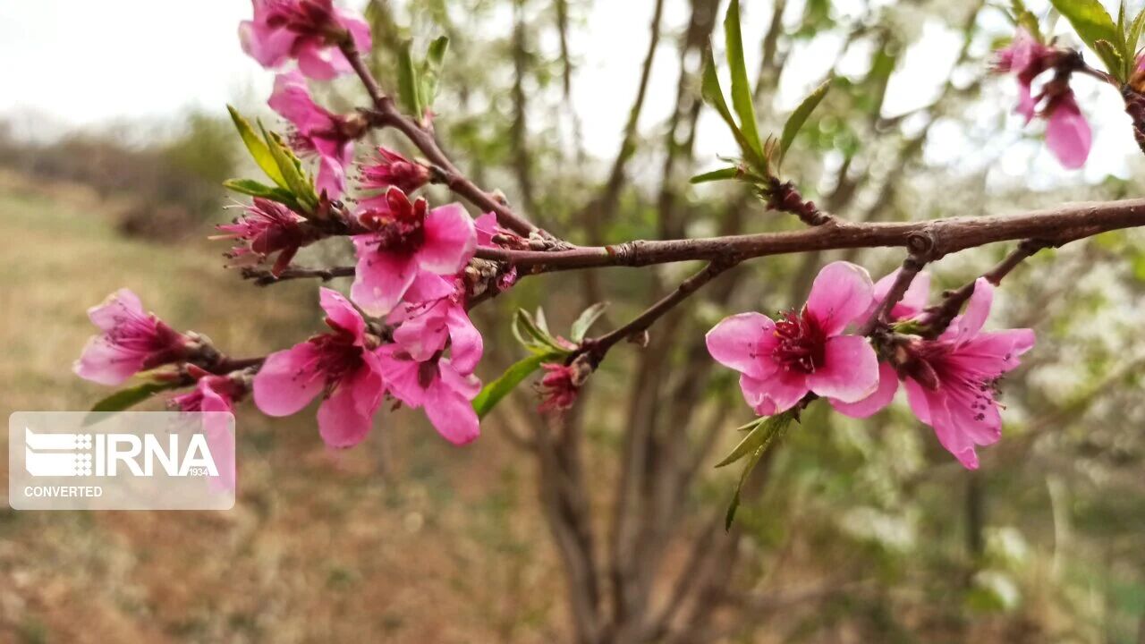 گیلان گرم می‌شود