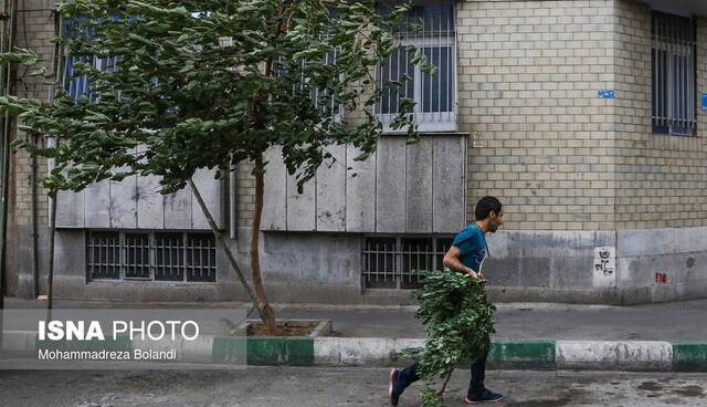 وزش بادهای شدید لحظهای در تهران