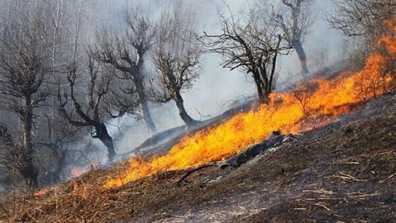 آتش‌سوزی در مراتع شهرستان دشتستان مهار شد