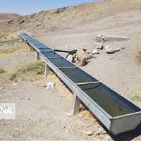 ضدعفونی و لایروبی آبشخورها برای حفاظت از حیات وحش استان مرکزی