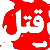 قتل مرد جوان بر سر 20 میلیون تومان!