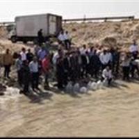 رهاسازی ۱۳۰ هزار بچه ماهی در سواحل نایبند عسلویه با هدف احیای ذخایر خلیج فارس