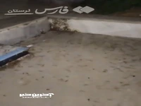 هجوم ملخ‌ها به شهر خرم‌آباد
