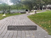 غازهایی که مردم رو گاز میگیرند و میخندند