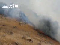 جنگل‌های زاگرس در منگره اندیمشک گرفتار آتش شد