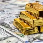 اظهارنظر دبیر کانون صرافان ارز درباره قیمت دلار