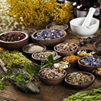 توسعه طب سنتی، راهکاری جهانی برای ارتقاء سلامت