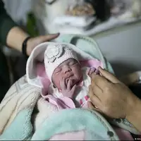 مادران باردار در هرمزگان  به‌صورت رایگان بیمه می‌شوند