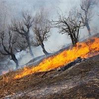 آتش‌سوزی در مراتع شهرستان دشتستان مهار شد
