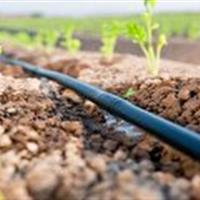 استفاده از فناوری‎های جدید آبیاری در مزارع خمین