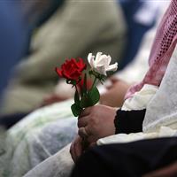 ۶۸۵۷ واقعه ازدواج در زنجان ثبت شد