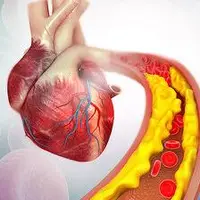کاهش کلسترول خون با مصرف این غلات