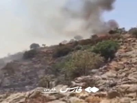 آتش به جان طبیعت سرچهان افتاد