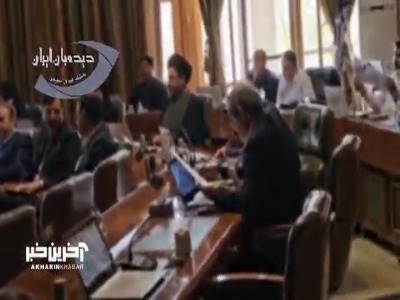 عضو شورای شهر تهران: موش ها در تهران گربه شده اند!