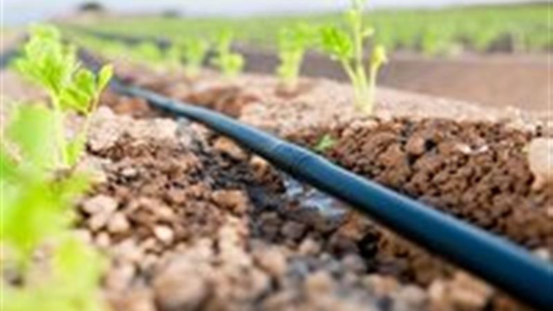 استفاده از فناوریهای جدید آبیاری در مزارع خمین