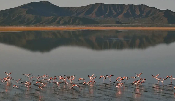 تالاب گاوخونی سند خورد