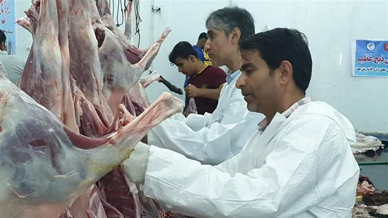 ۳۴ اکیپ دامپزشکی بوشهر برای نظارت بر ذبح دام در روز عید قربان آماده هستند