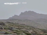 بارش برف بهاری در ارتفاعات نطنز اصفهان