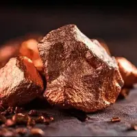 گنج ۱۳ میلیون‌تنی در ارتفاع ۵ هزار متری پیدا شد