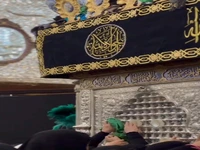 نمایی از ضریح امام رضا(ع)