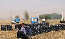 خسارت 40 هزار میلیارد تومانی اعتصاب کامیون‌داران به کشاورزان