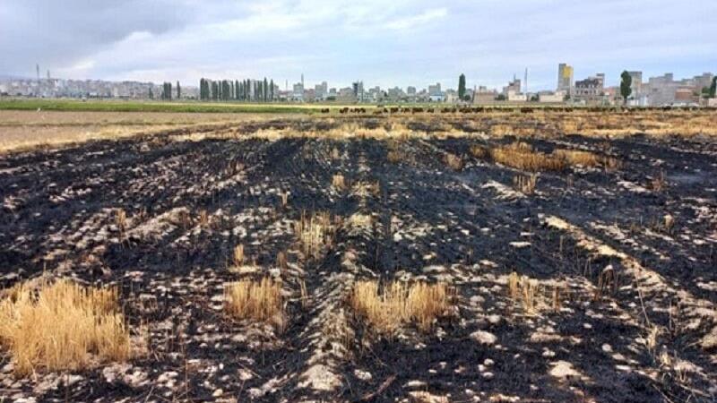 آتش‌زنندگان کاه‌ و کلش در مزارع استان اردبیل تحت پیگرد قرار می‌گیرند