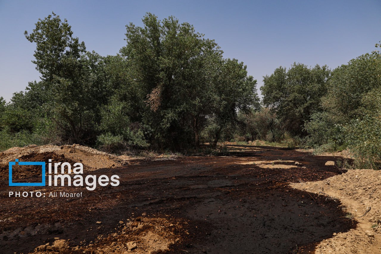 عکس/ نشت نفت به رودخانه مارون در خوزستان