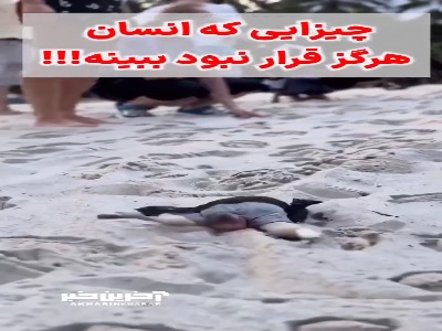 عجیب‌ترین موجودات زمین!