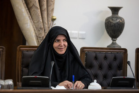 اظهارات مشاور پزشکیان درخصوص استفاده دولت از ظرفیت های نسل زد