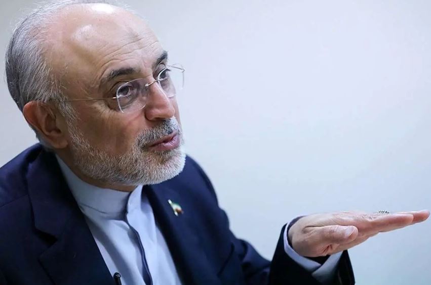 واکنش علی‌اکبر صالحی به دستگیری «قاسمیان» در مکه