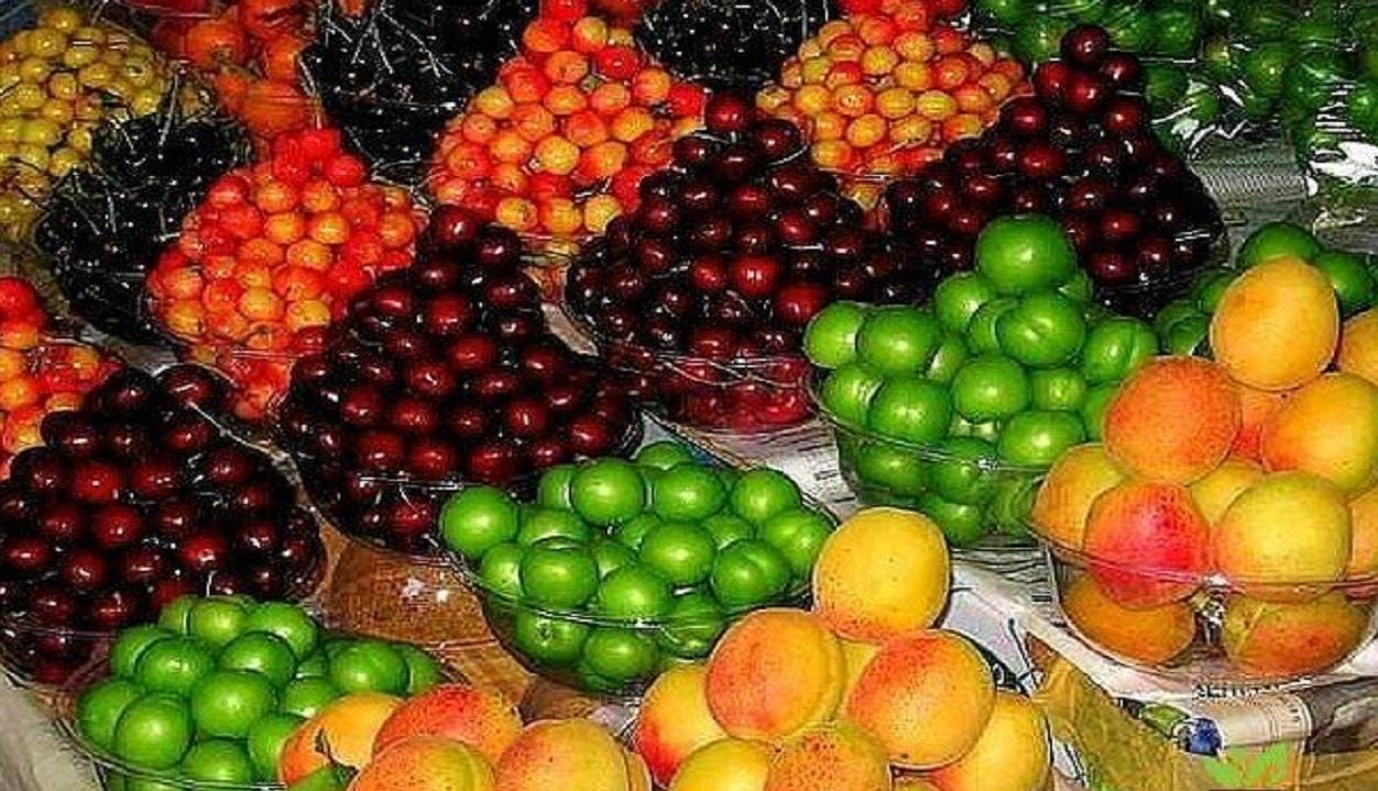 کاهش ۳۰ درصدی قیمت میوههای نوبرانه