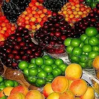 کاهش ۳۰ درصدی قیمت میوه‌های نوبرانه