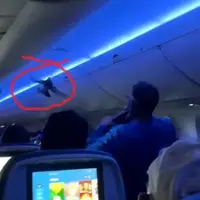 دو کبوتر پرواز هواپیما را به تاخیر انداختند!