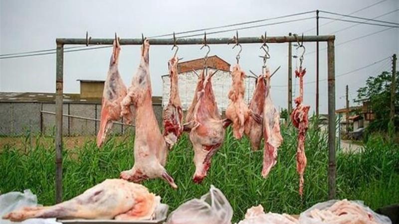 لزوم مقابله با کشتارهای غیرمجاز دام در چهارمحال و بختیاری