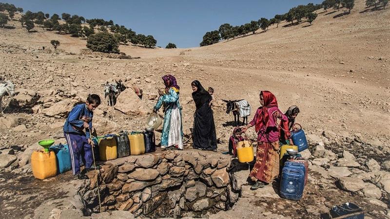 خشکسالی و پیامدهای منفی آن بر تولید گوشت قرمز در گرمسار