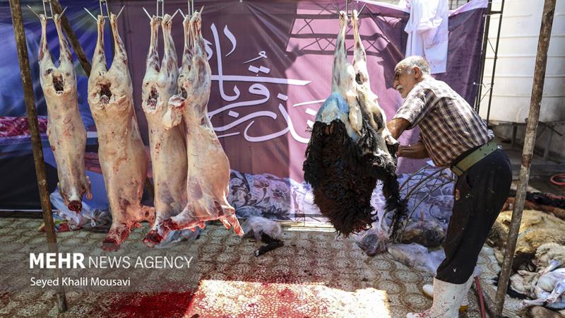 پویش نذر قربانی با امکان مشارکت عمومی در گلستان آغاز شد