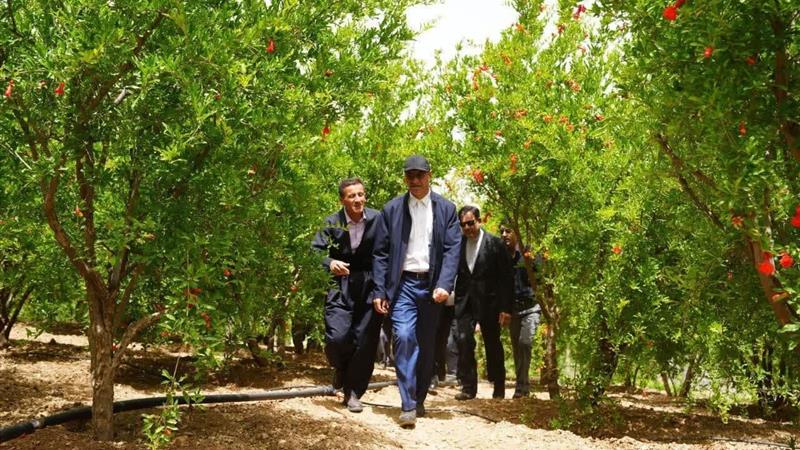 دشه، الگویی موفق در توسعه روستایی و بازگشت جمعیت است