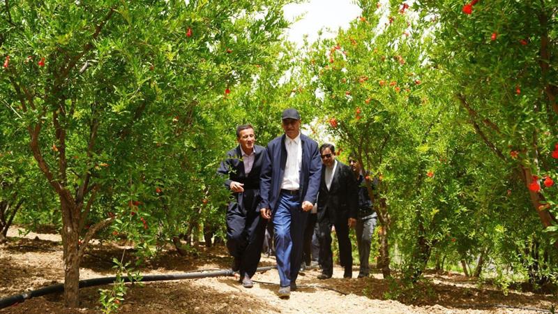 استاندار: «دشه» نمونه ای موفق از توسعه روستامحور و مهاجرت معکوس در کرمانشاه است