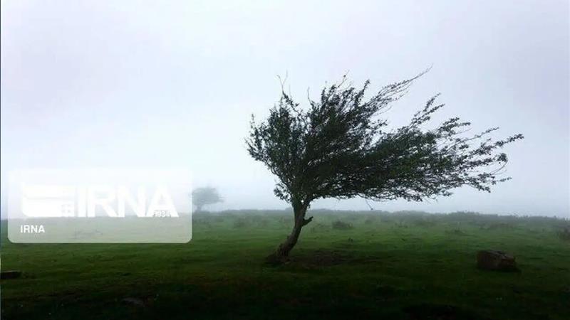 وزش باد شدید زنجان را فرا میگیرد
