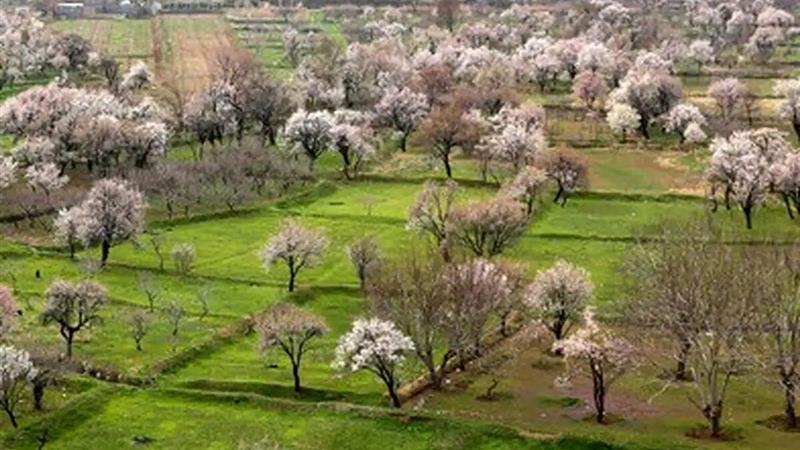 زنان قزوینی در حفظ میراث طبیعی نقشآفرینی کنند