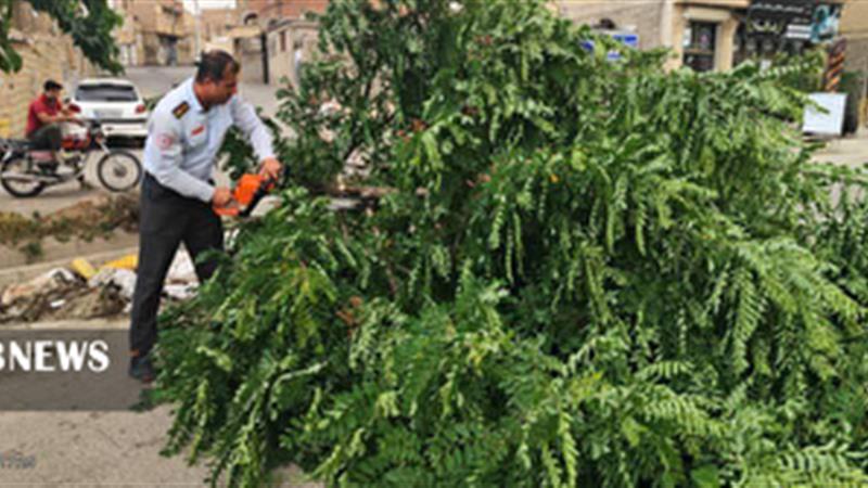 قطعی برق و خسارات طبیعی و مالی در پی وزش تندباد شدید در سقز